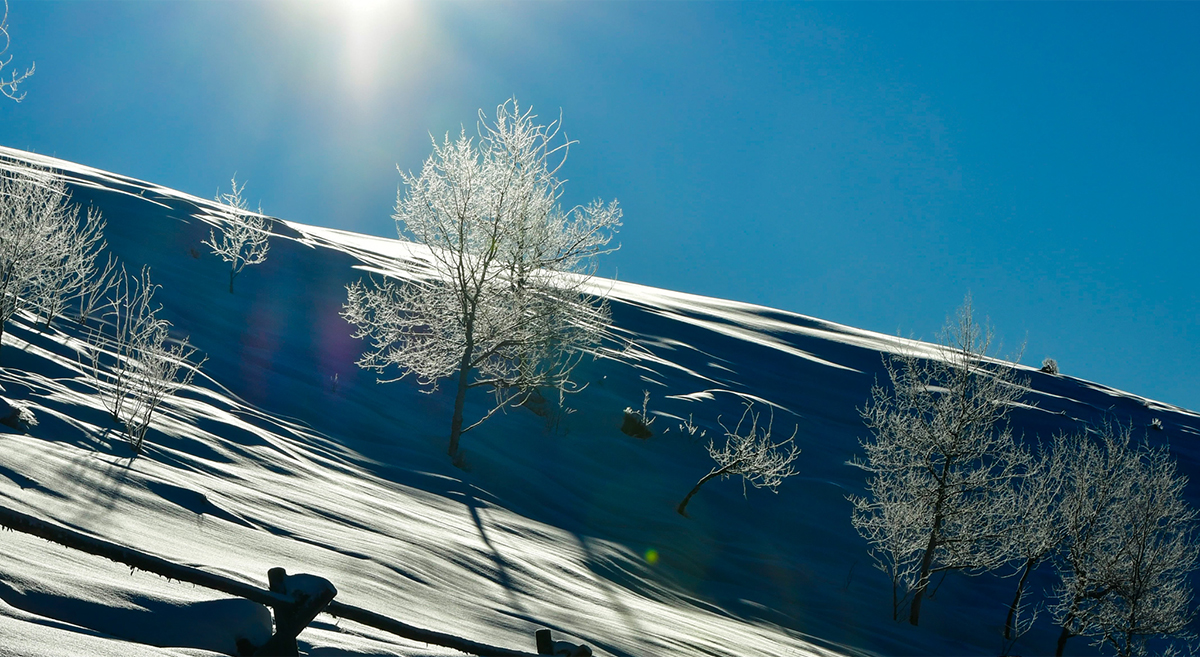 The Coming of Winter